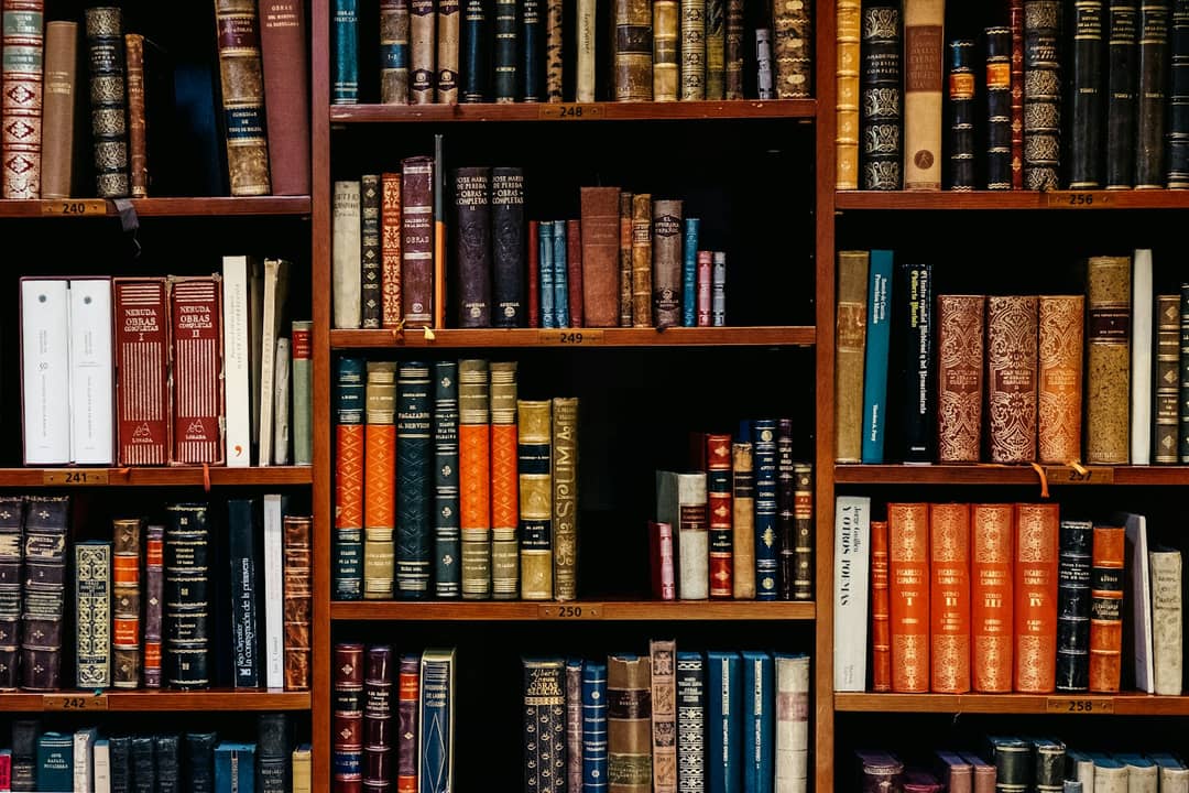 First-Person Cultural Historian POV: Leather Armchair & Antique Library